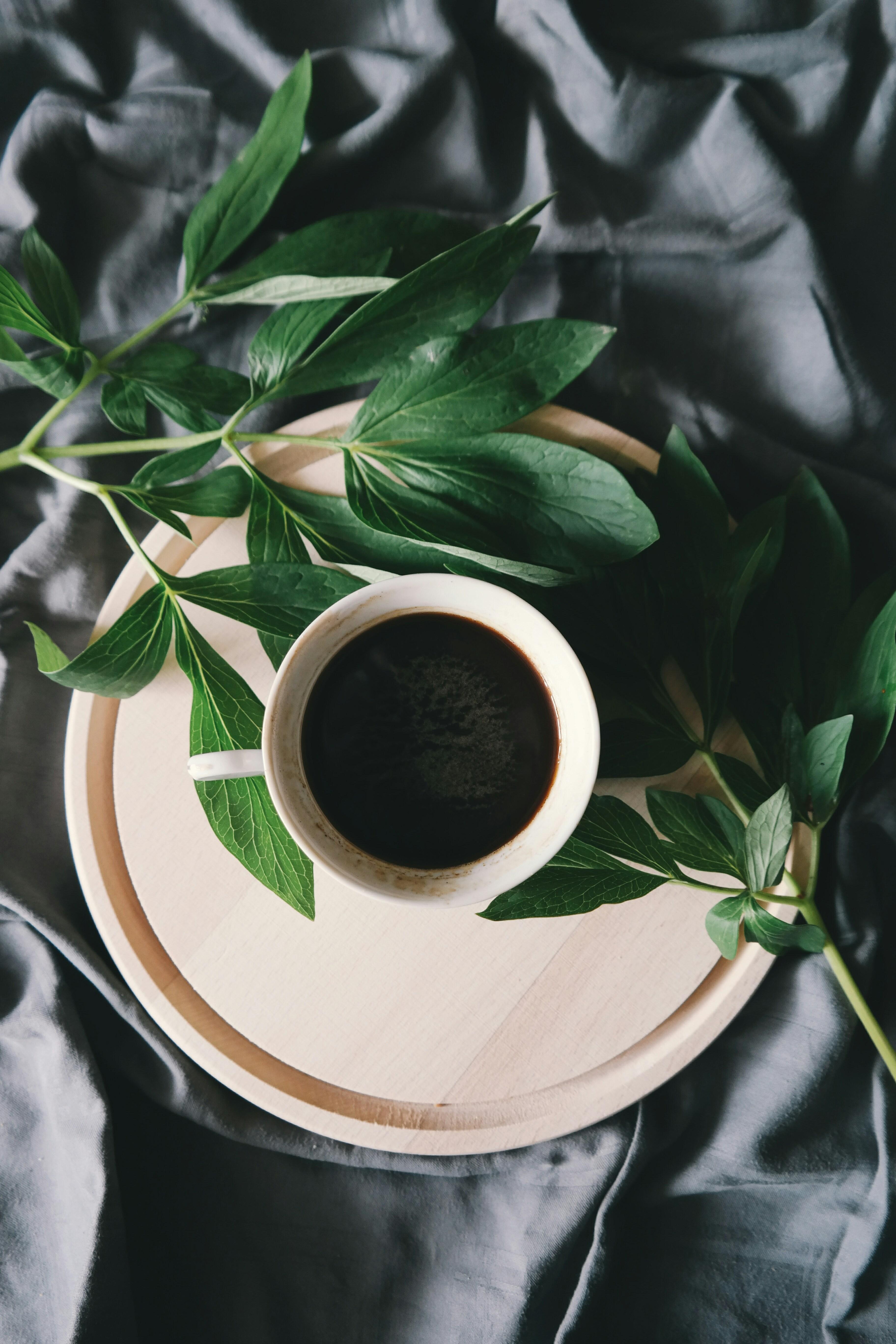 The Coffee Culture
